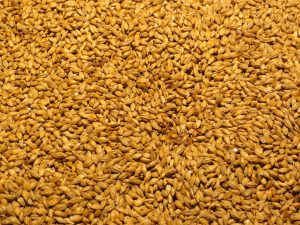 Was ist ein Weizenbier?