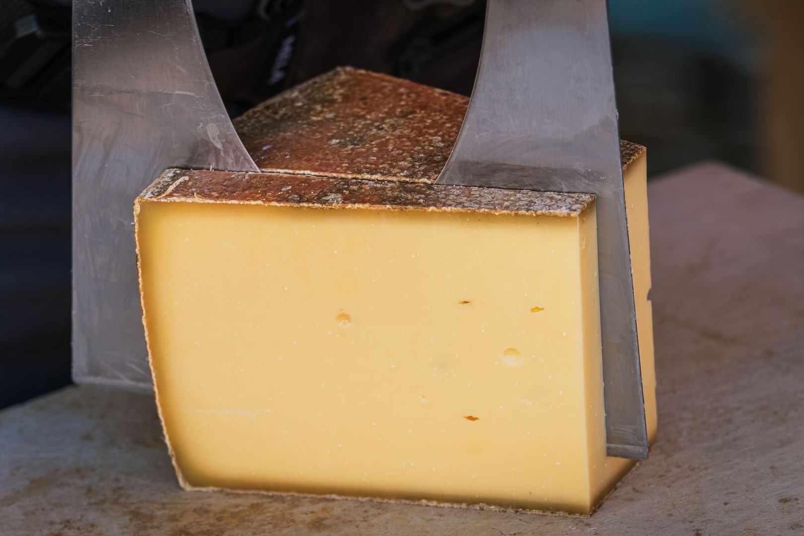 A large wedge of aged cheese held between two metal cheese knives