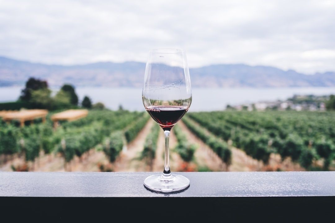 Glass of red wine overlooking vineyard rows and distant mountains